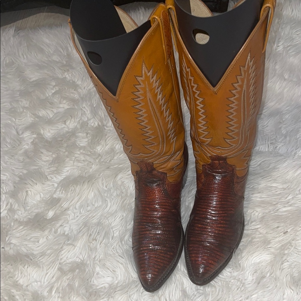 Dan Post Brown and Tan Cowboy & Western Boots